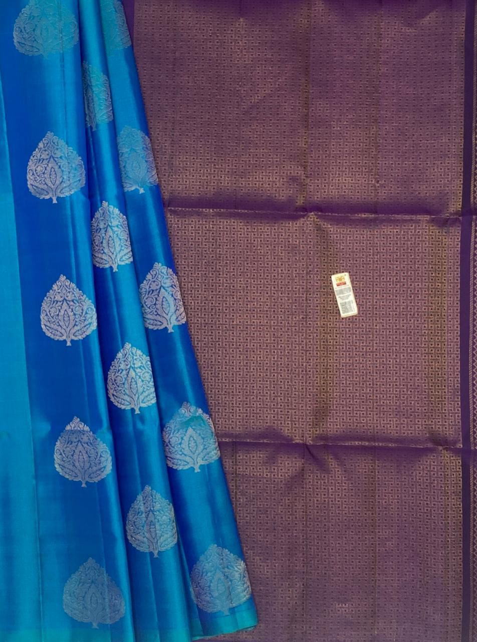 Pure Kanchipuram Silk saree - The Pyt Store