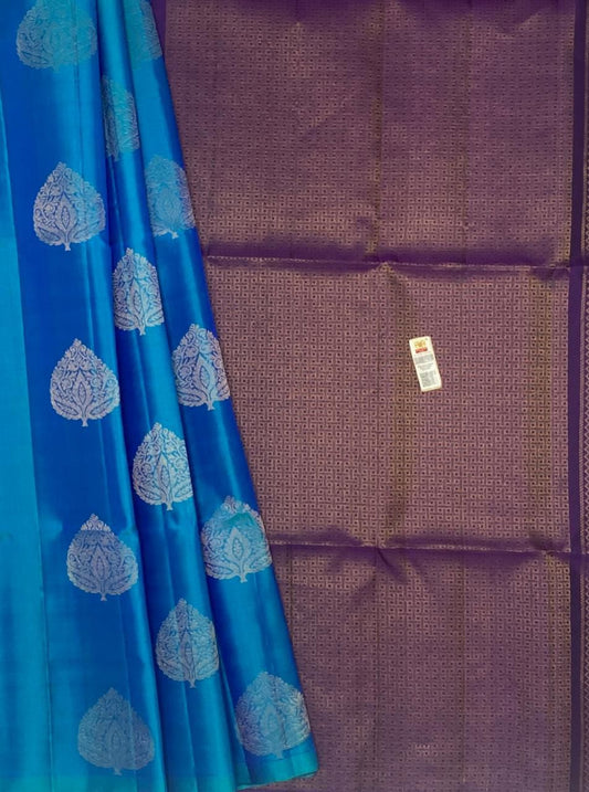 Pure Kanchipuram Silk saree - The Pyt Store